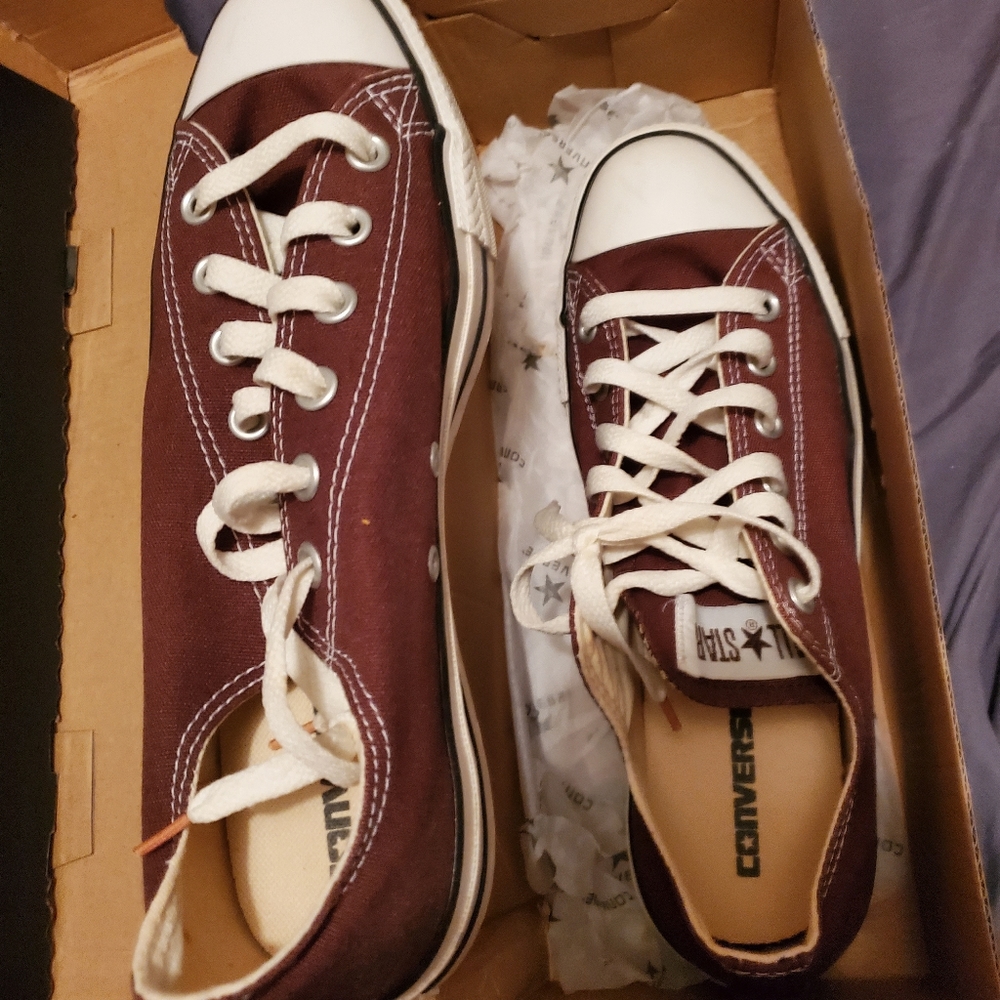 Converse All Stars Shoes, Chocolate Brown